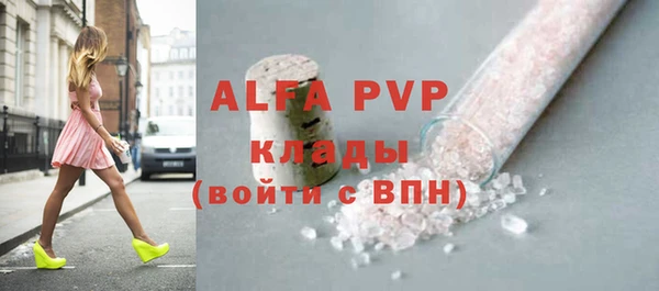 шишки Щигры