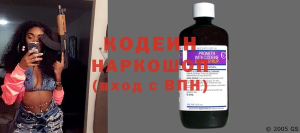 шишки Щигры
