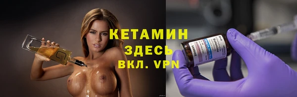 шишки Щигры