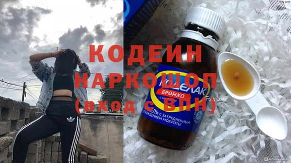 шишки Щигры