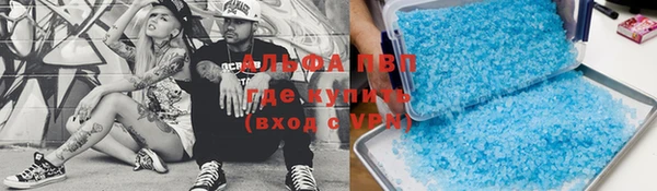 шишки Щигры