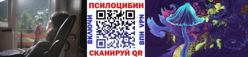 Псилоцибиновые грибы мицелий  где купить наркоту  Брянск 